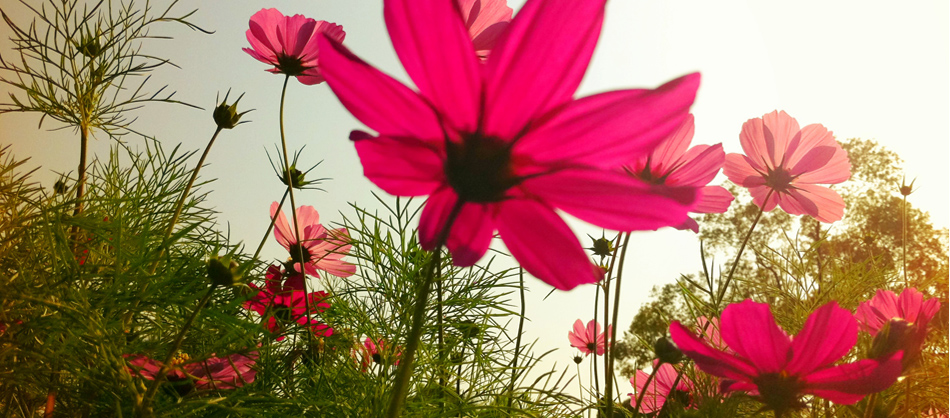Fine art & Photography